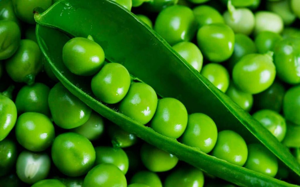 зелений горошок корисні властивості