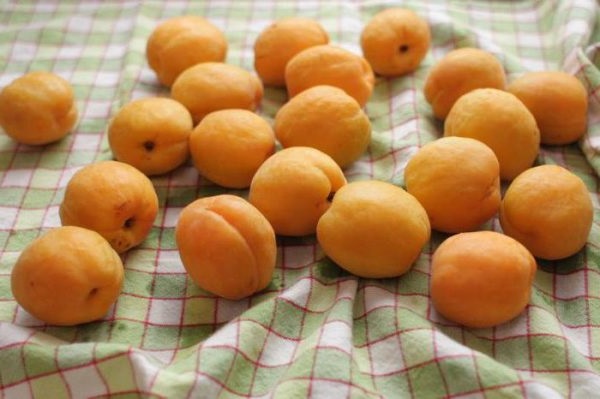 Заморожування цілих абрикос на зиму 