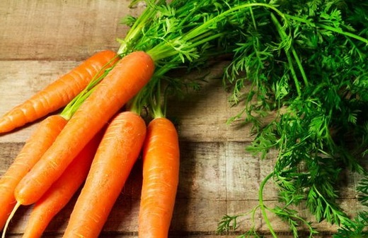 як правильно сіяти моркву