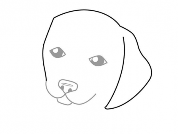 як намалювати собаку