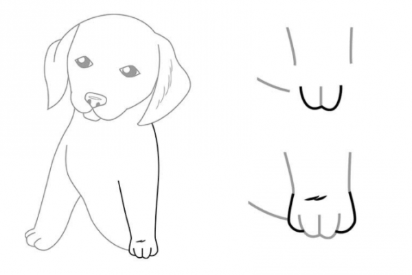 як намалювати собаку крок за кроком