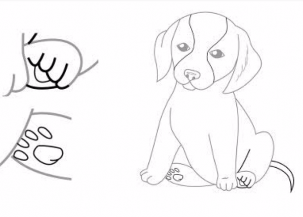 як намалювати собаку що сидить