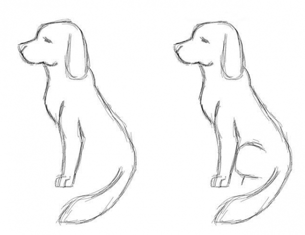 малюнки собак