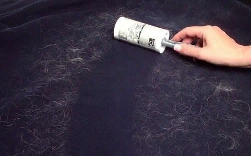 як почистити килим від шерсті домашніх тварин
