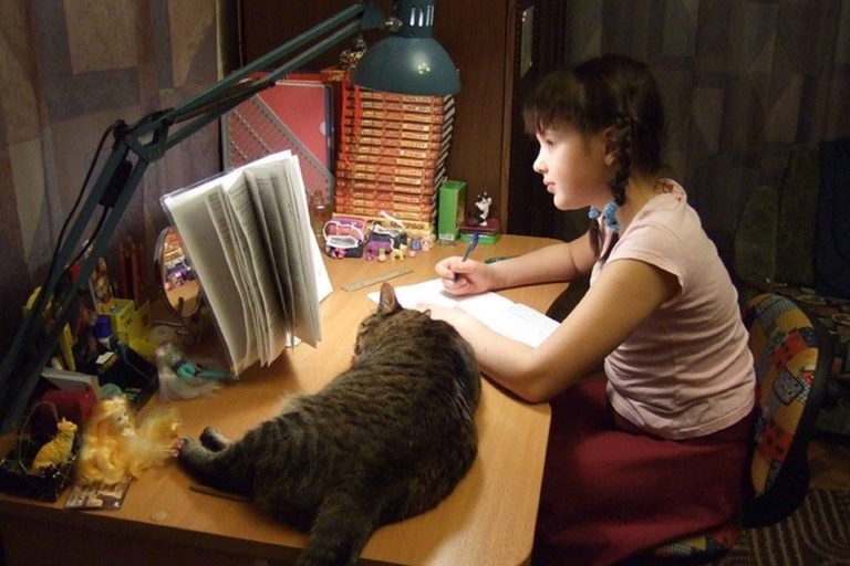 Дівчинка робить домашку з котом