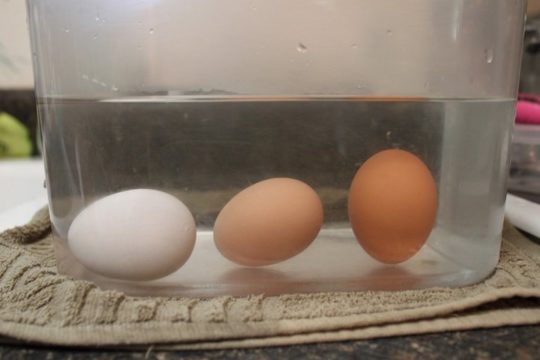 як перевірити свіжість яєць у воді