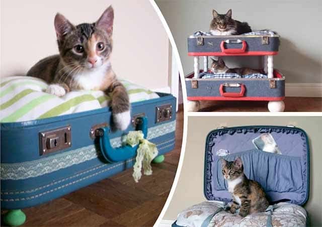 лежак для кішки з валізи