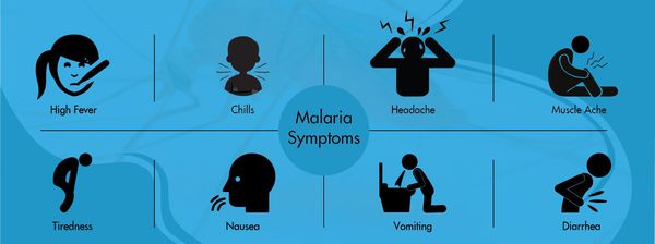 малярія симптоми