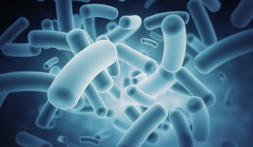 Цікаві факти про бактерії