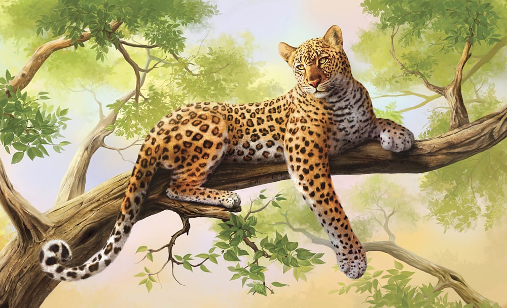Цікаві факти про леопардів