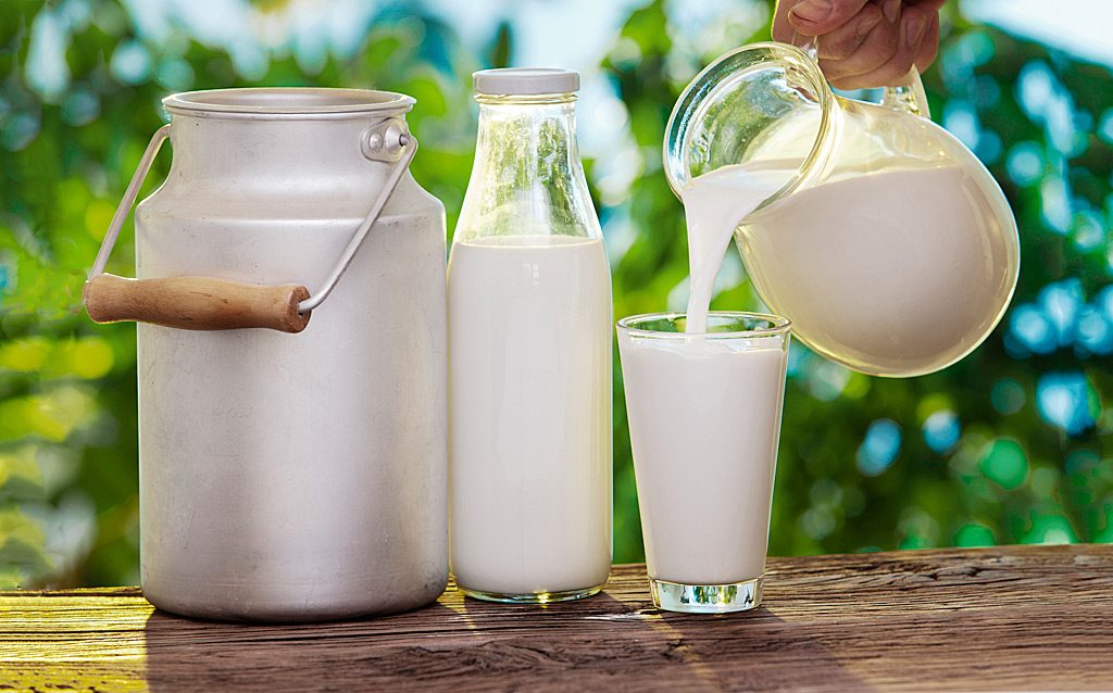 цікаві факти про молоко