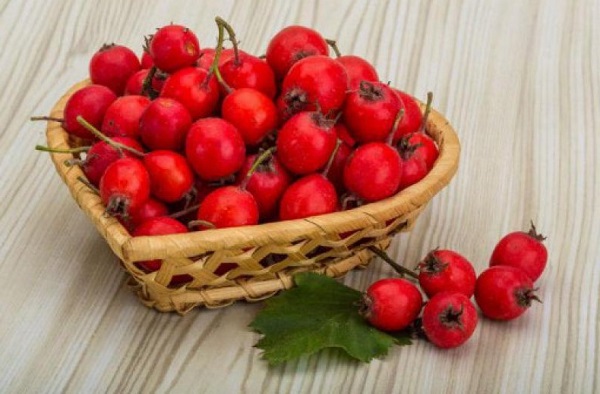 ягоди глоду корисні властивості
